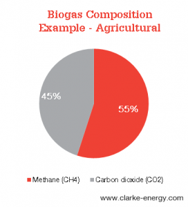komposisi biogas